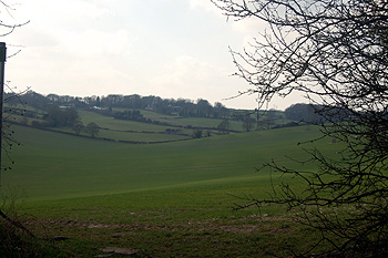 View south-west from Hollicks Lane March 2012